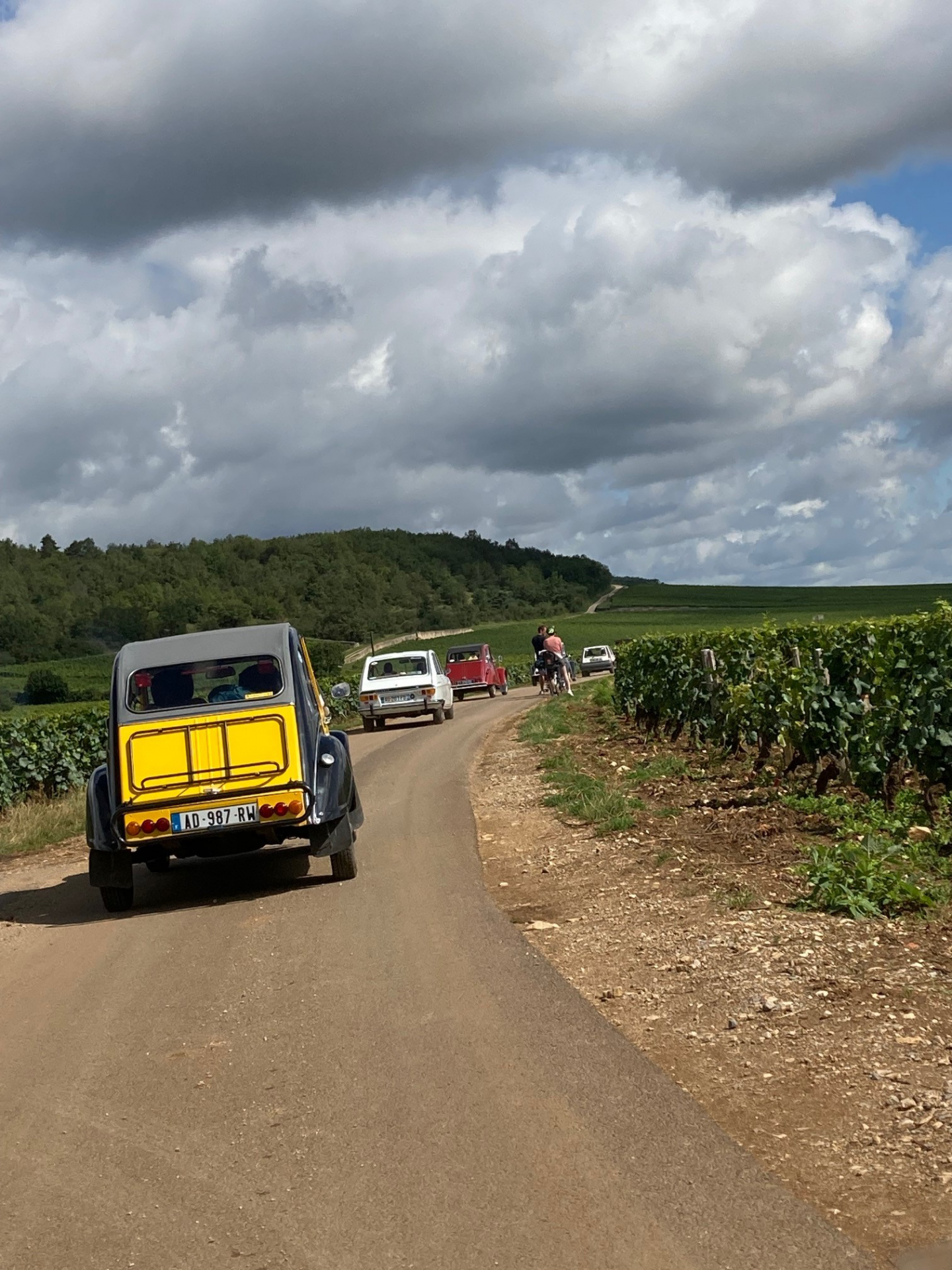 3 gevrey chambertin