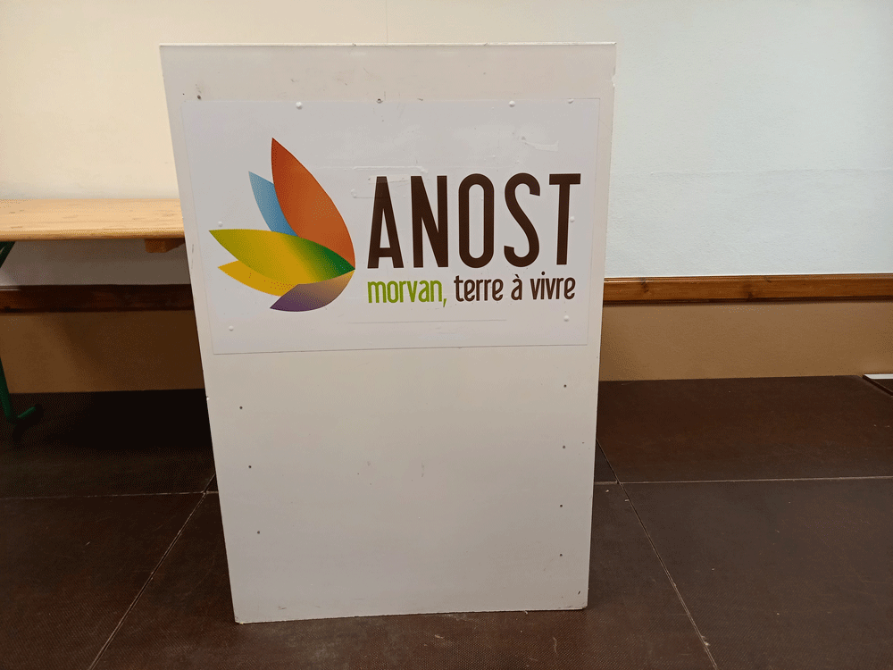 Anost