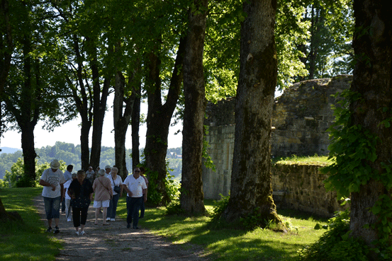 Balade sous les arbres