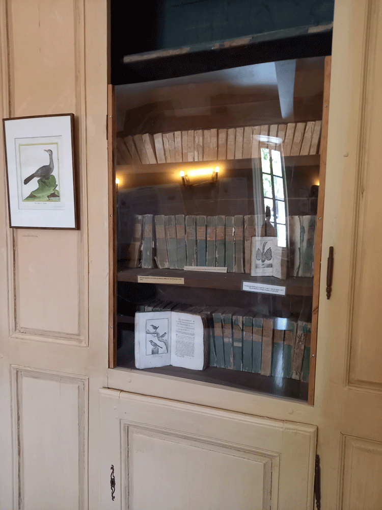 Bibliotheque avec des livres d epoque