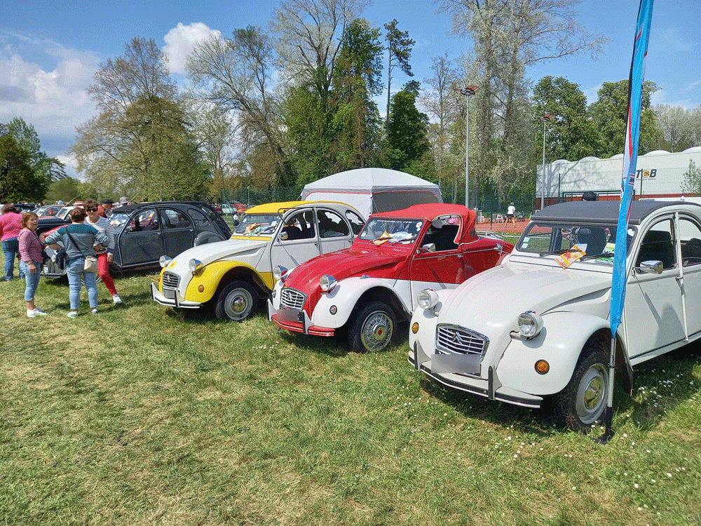 De belles 2cv