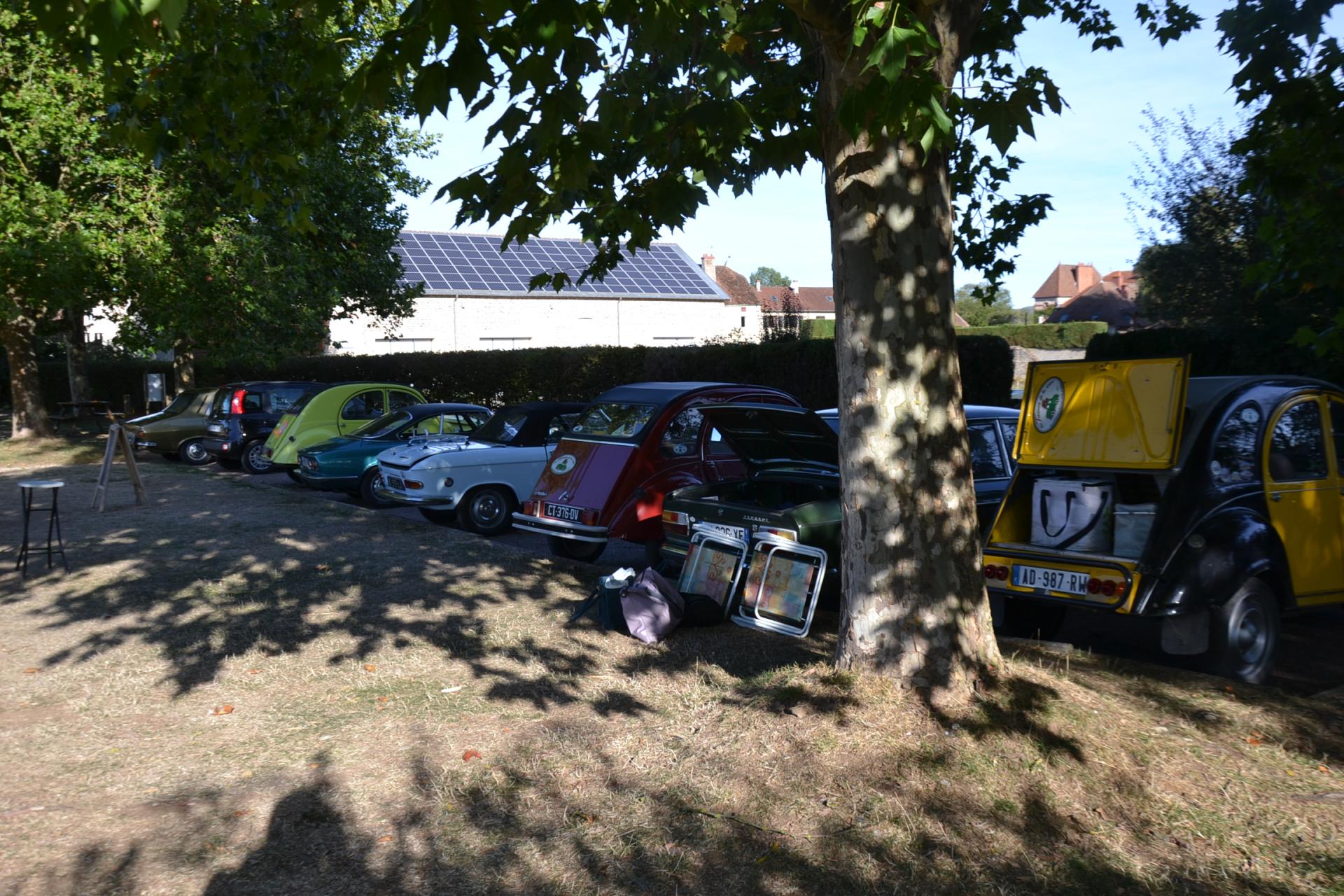 Dsc 0990