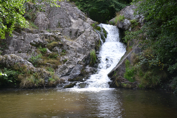 Le saut du goulou