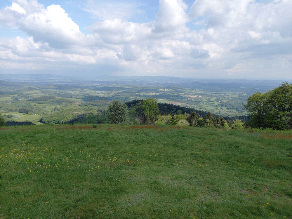 Panorama